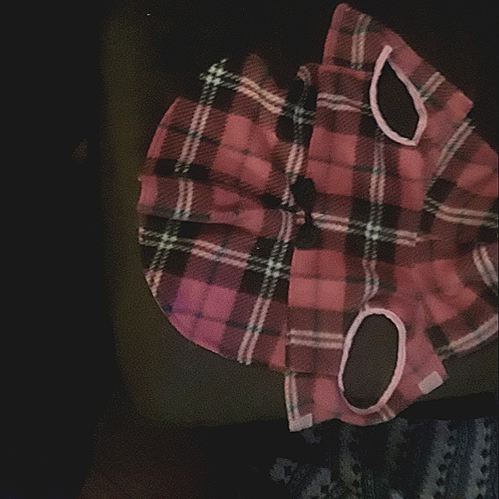 PINK PLAID PUPPY PETTYCOAT